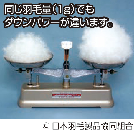 (c)日本羽毛製品協同組合